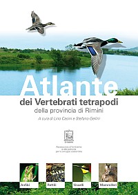 ATLANTE VERTEBRATI